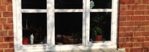 T&J Painting Solutions exterior sash windows